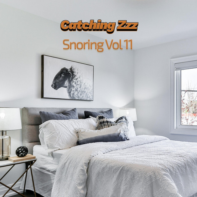 Snoring, Vol. 11 - Album by Catching Zzz UK | Spotify