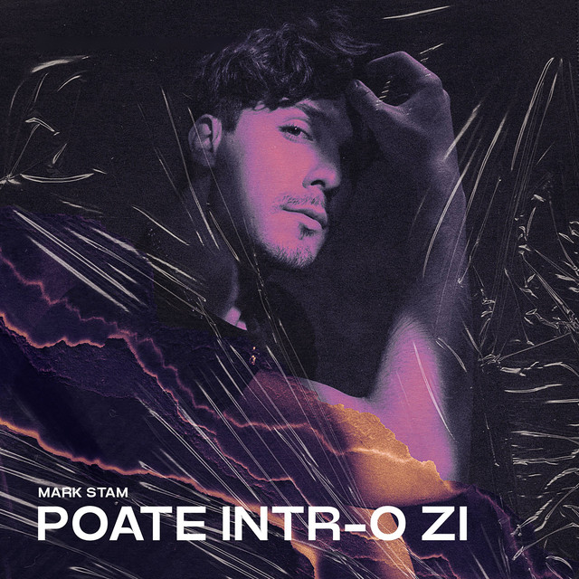 Poate intr-o zi cover art