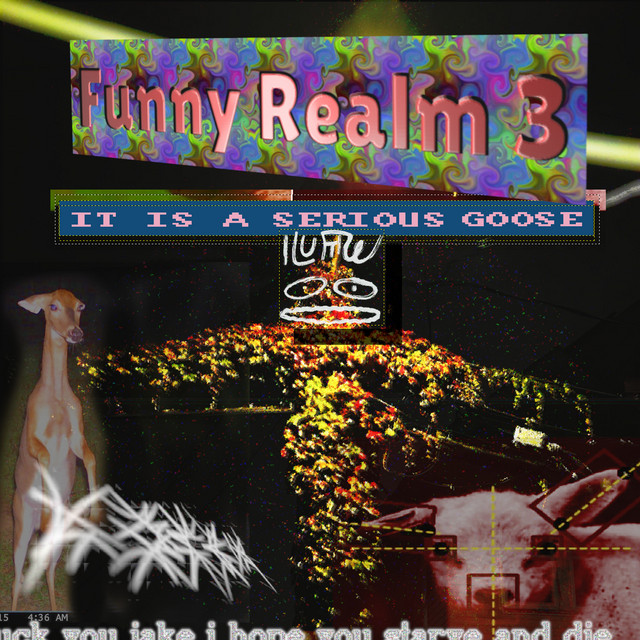 Funny Realm 3: It Is A Serious Goose cover art