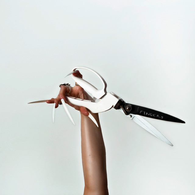 Fingers cover art