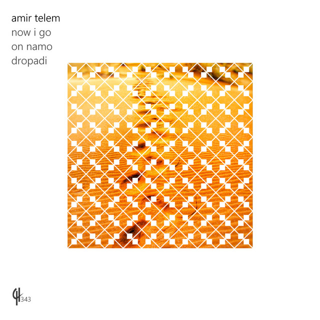 Обкладинка Amir Telem — Now I Go