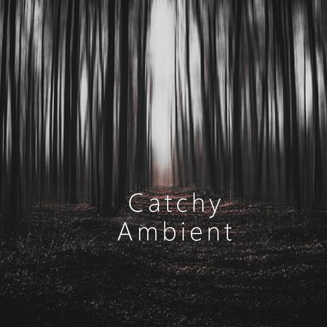 Catchy Ambient cover art