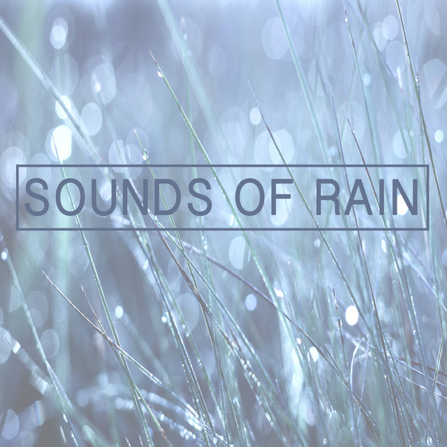 Sounds of Rain cover art