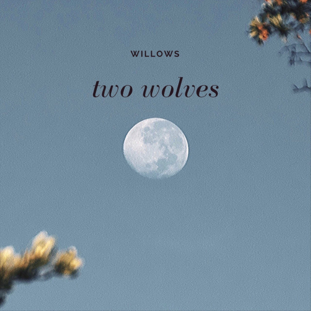 Two Wolves cover art