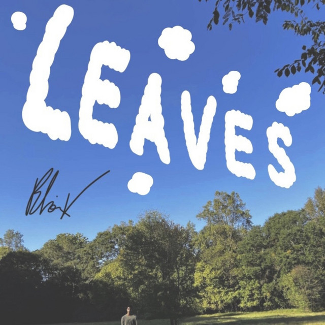 Leaves - Single by Blaise V | Spotify