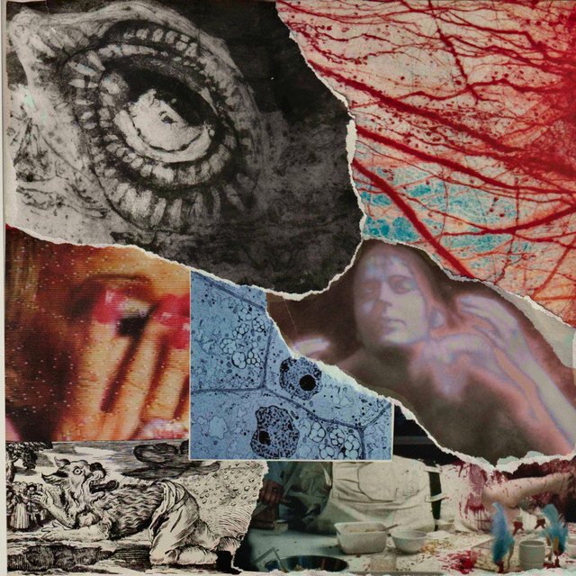 peroxide cover art