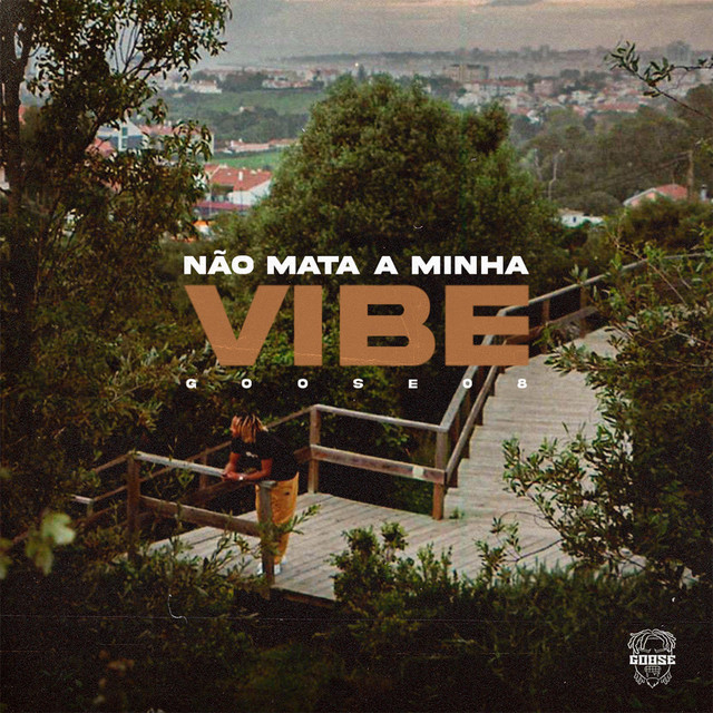 Não mata a minha vibe cover art