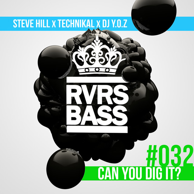 Can You Dig It? album art
