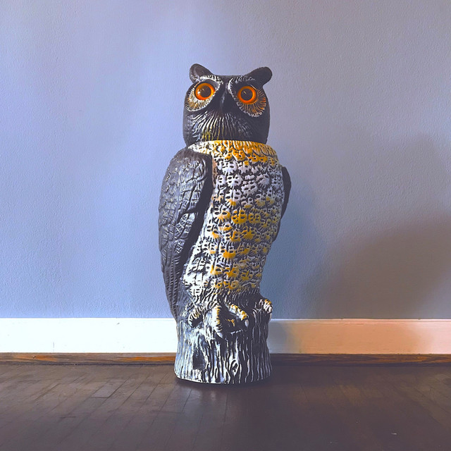 OWL cover art