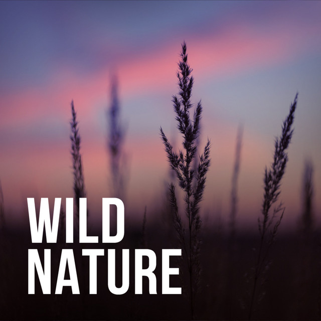 Wild Nature cover art