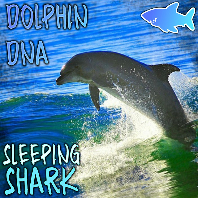 Dolphin DNA
