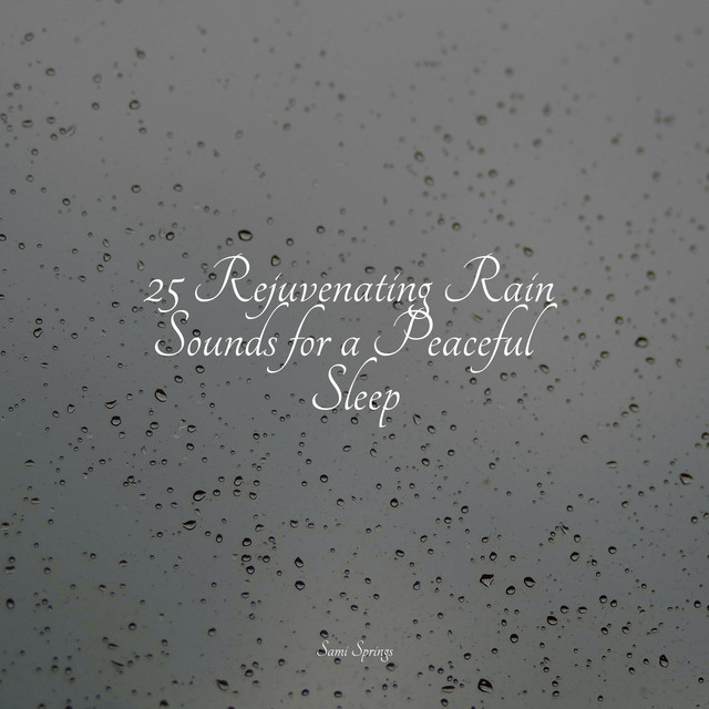 25 Rejuvenating Rain Sounds for a Peaceful Sleep - Album by Musica para ...