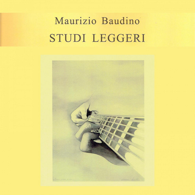Studi leggeri cover art