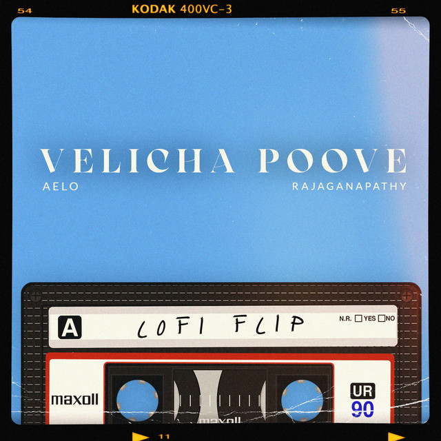 Velicha Poove Lofi Flip