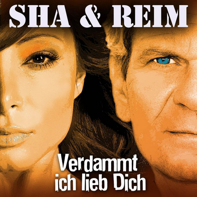 Matthias Reim Verdammt Ich Lieb Dich Text