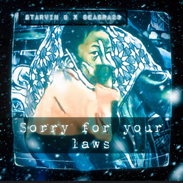 SORRY FOR YOUR LAWS cover art