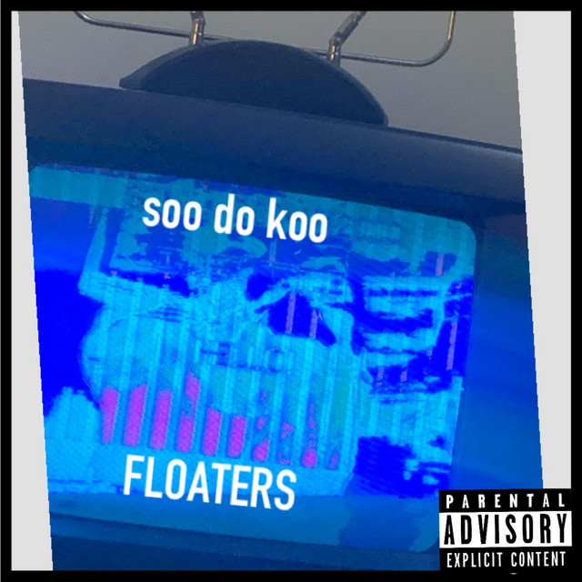 Floaters cover art