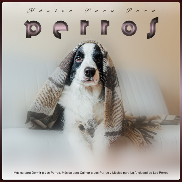 Música Pura Para Perros: Música para Dormir a Los Perros, Música para Calmar a Los Perros y Música para La Ansiedad de Los Perros cover art