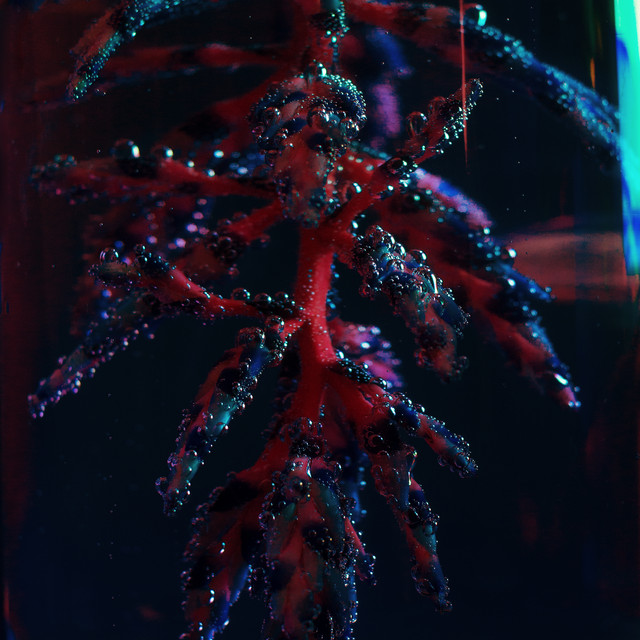 Cocoon Crush cover art