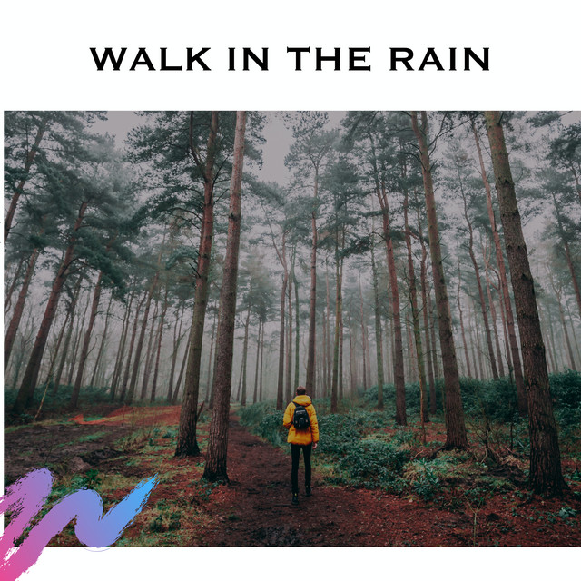 Walk In The Rain cover art
