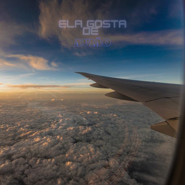 Ela Gosta de Avião (Speed) [Remix]