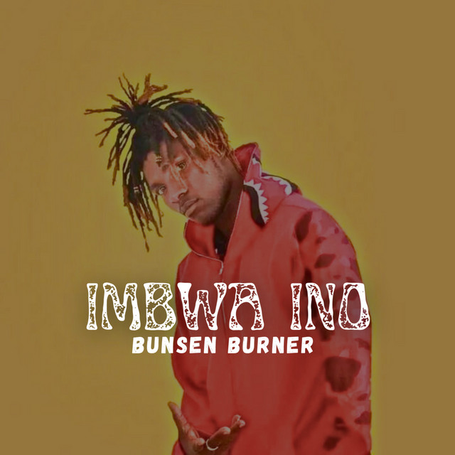 Bunsen Burner artist photo