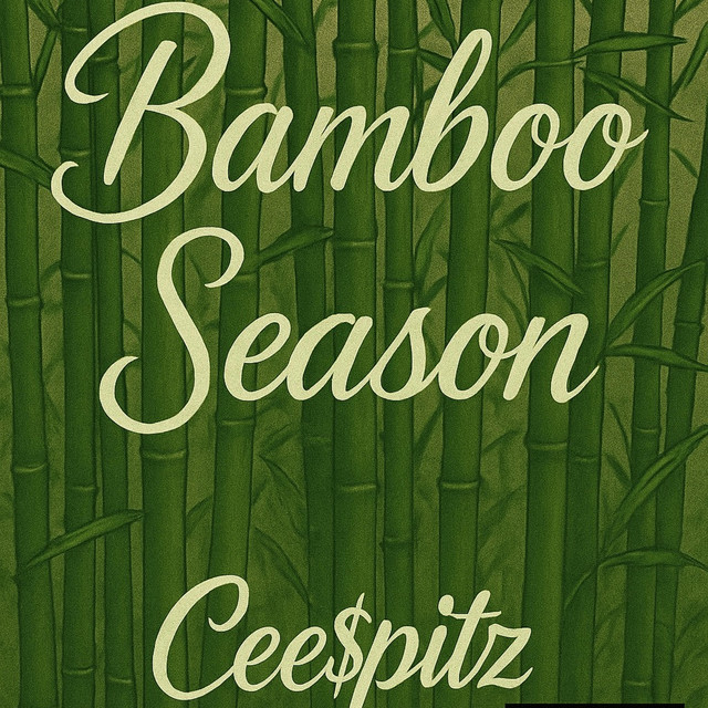 Intro cover art