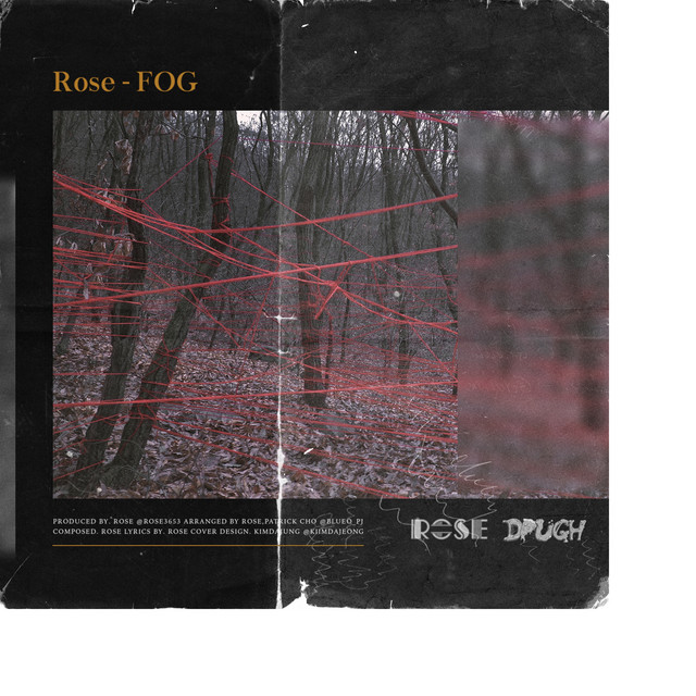 Fog cover art