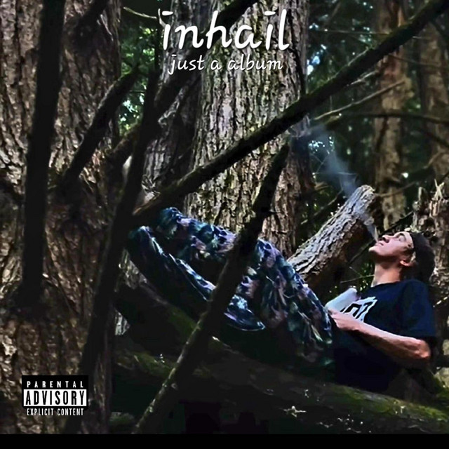 just a album cover art