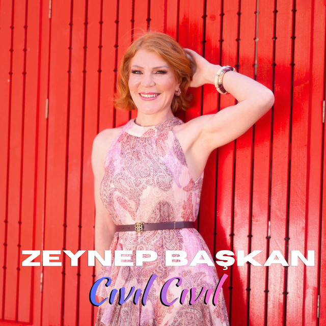 Cıvıl Cıvıl album image