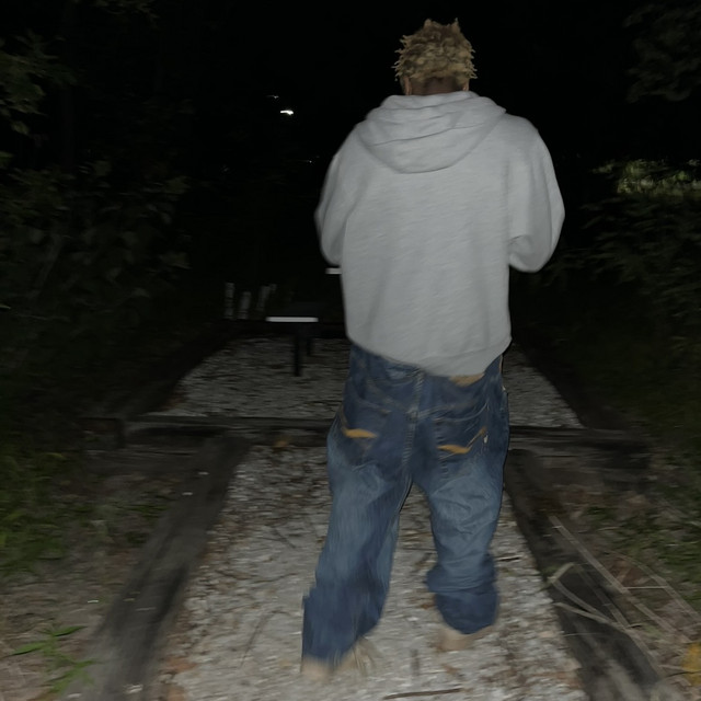 hiding album image