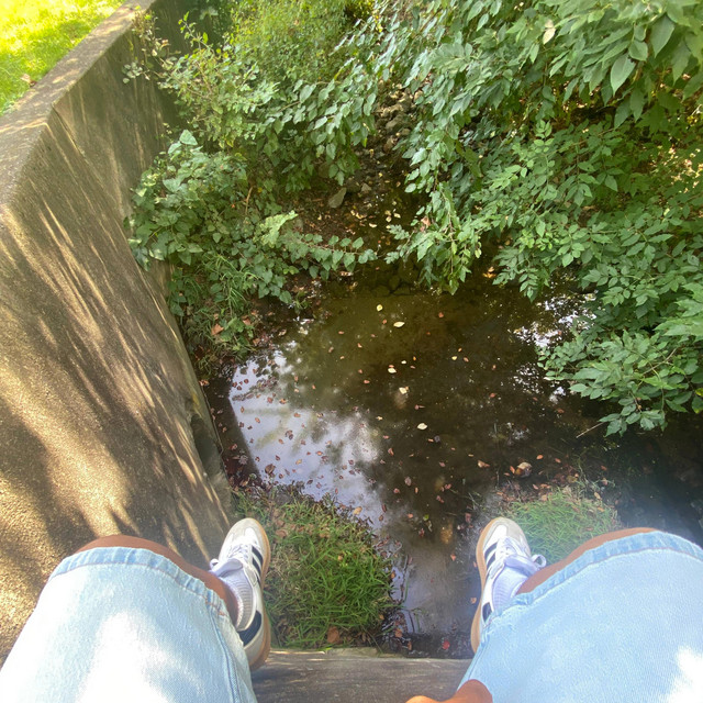 Sa Pri$e