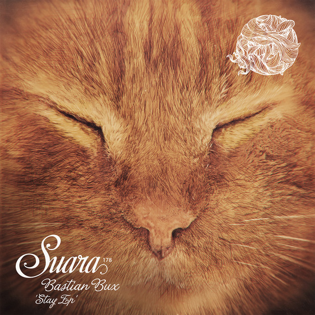 Synera album art