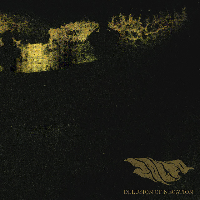 Delusion of Negation cover art