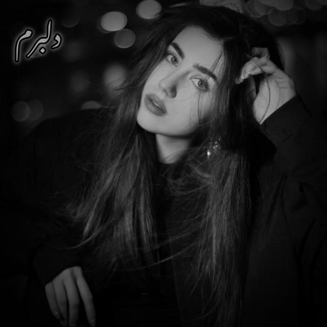 Deltang Ai