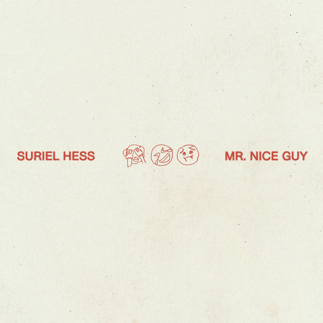 Mr. Nice Guy by Suriel Hess