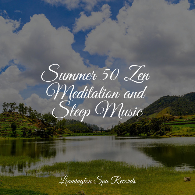 Summer 50 Zen Meditation and Sleep Music - Album by Deep Sleep Brown ...