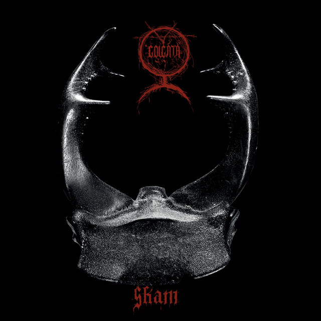 Skam cover art