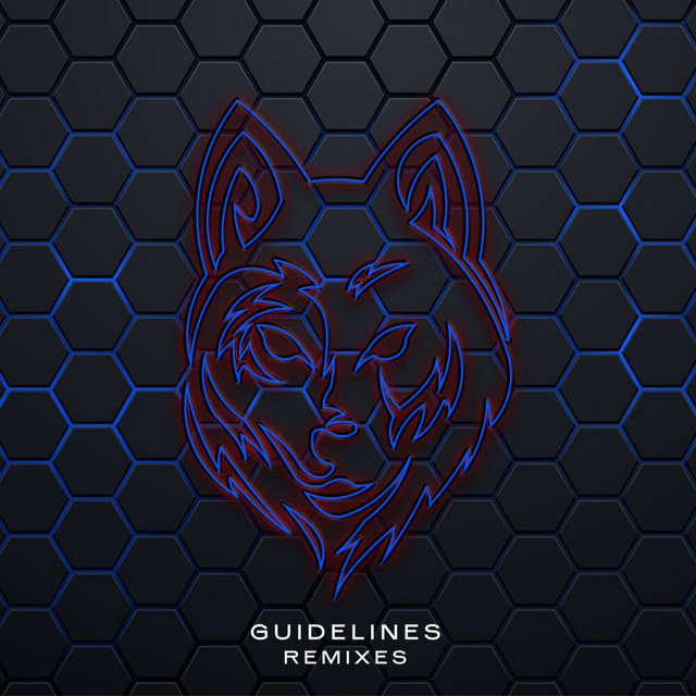 Guidelines (Amyss, Willy Van Florence Remix)