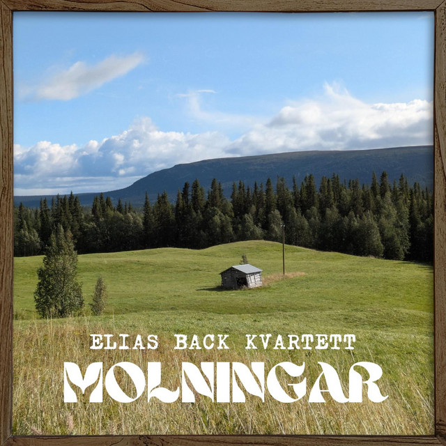 Molningar cover art
