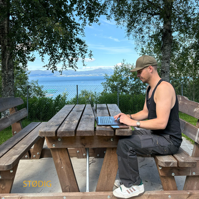 Stødig cover
