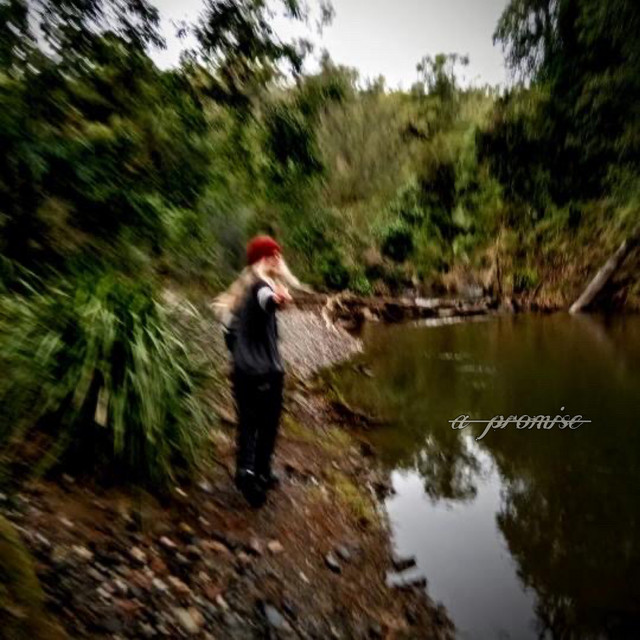 a promise cover art