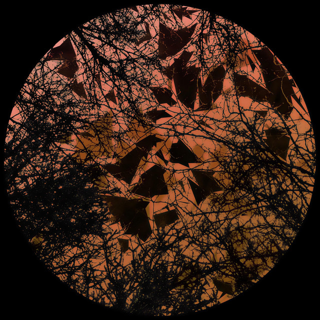 Fuzzy Logic cover art