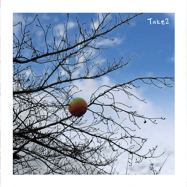 Take2 cover art