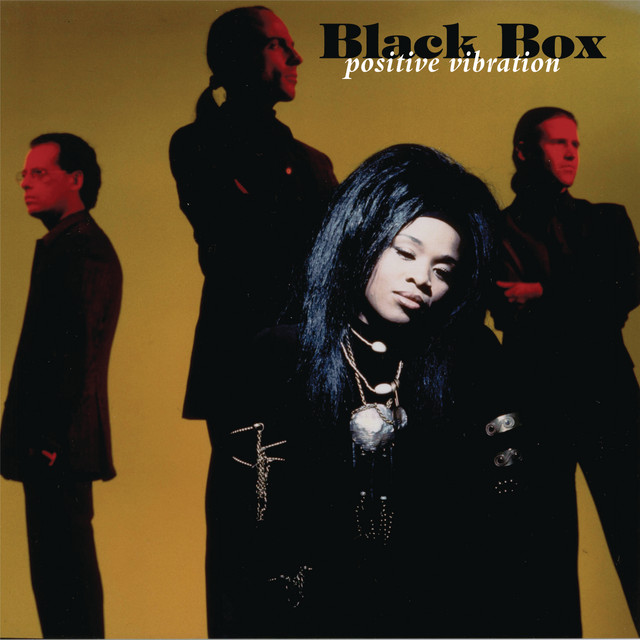 BLACK BOX FALL INTO MY LOVE 12インチシングル Fall Into My Love - song and lyrics by Black Box | Spotify
