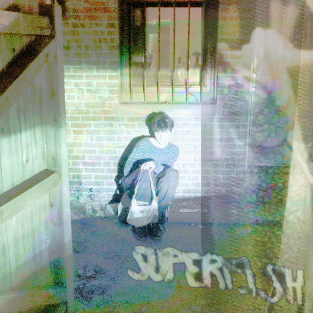 SUPERFISH cover art