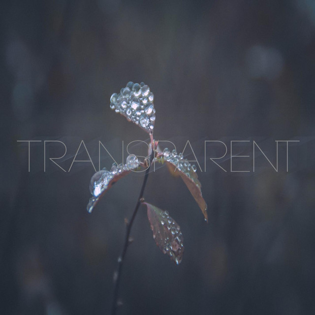 Transparent cover art