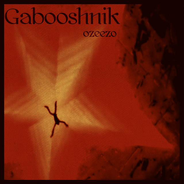 You Gotta Gabooshnik cover