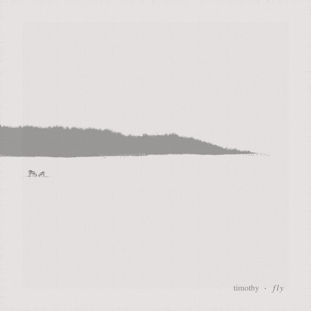 Fly cover art
