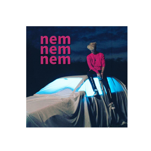 nem nem nem cover